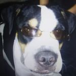 Tyler Vanderpool - @tyler_vanderpool1 - Instagram