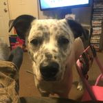 Tyler Vanderpool - @vanderpool994 - Instagram