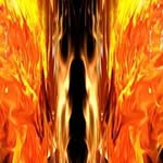 Tyler Vesely - @tylerghost2011 - Instagram