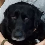 Tyler Vickers - @tylervickers2007 - Instagram
