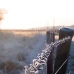 Tyler Vitale - @tvnzphotography - Instagram