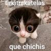 tylervossard - @tylervossard - TikTok