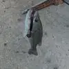 tylerwagers - @tyler.wagers4 - TikTok