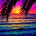 Tyler Wagoner - @love_florida - Instagram