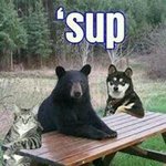 Tyler Wainwright - @t.g.i_gaming - Instagram