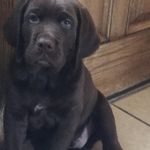 Tylerwakefield - @tylerwakefield994907 - Instagram