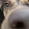 Tyler_Waldron27 - @tyler277777777 - TikTok