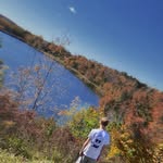 Tyler Waldron - @iamtwalll - Instagram