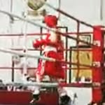 Tyler Waldron - @tylerwaldron1512 - Instagram