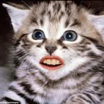 Tyler Wampler - @twampler14 - Instagram