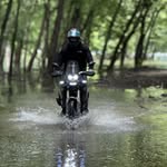 Tyler Wampler - @wampsauce - Instagram