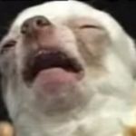 tyler warman - @thanos7070 - Instagram