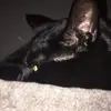 tyler.warnock - @tyler.warnock96 - TikTok