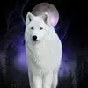 tylerwaynecase - @tylerwaynecase - TikTok