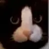Tyler - @tylerweis - TikTok