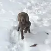 Tyler weis - @tyler.2006 - TikTok