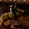 Tyler Weller - @t_welly_2 - TikTok
