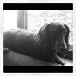 Tyler Westerfield - @tylerwesterfield - Instagram