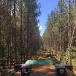 Tyler Whitley - @tylerwhitley585 - Instagram