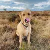 Tyler wilk - @tyler.wilk - TikTok