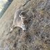 Tyler Wilton - Facebook