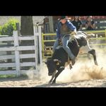 Tyler Wilton - @wilton_tyler - Instagram