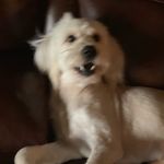 Tyler Winstead - @tylerw_06 - Instagram