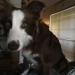 Landon Tyler Winton - @the_landomaster - Instagram