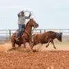 Tyler Winton - @twinton1 - TikTok