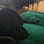 Tyler wissing - @wissingtyler - Instagram