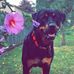 Tyler Stevens - Facebook