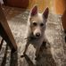 Tyler Yingling - Facebook