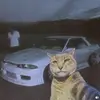 oneferry - @oneferry - TikTok