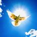 TyNa Le - Facebook
