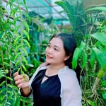 TyNa Pham - @thuytrang.pham.7587 - Instagram