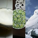 Týna Pham - @p_tyna - Instagram