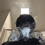 Tynell Johnson - Facebook