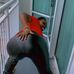 Tyyona Davis - Facebook