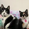 tyraboyd2 - @tyraboyd2 - TikTok