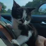 Tyra Susan Bryant - @bryanttyra5 - Instagram