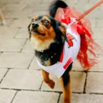 Tyra - @tyra_s_page - Instagram