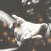 Tyree Sanders and Allison Caldwell’s Wedding 12/11/2020 - Facebook