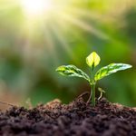 Tyree Wilson - @wilsonharvests - Instagram