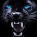 Darrell Beaver - Facebook