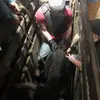 Tyler_beavers - @tyler_beavers1 - TikTok