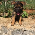 Tyrel cooper - @tyrel.cooper - Instagram