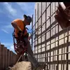 tylermclane5 - @tyler.mclane - TikTok