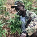 Tyrel Thomas - @tyrelthomas - Instagram