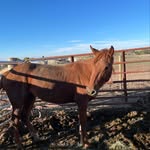 Tyrell begay - @ty.rell6710 - Instagram