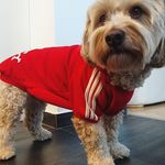 Tyrell Boone - @tyrellboone10 - Instagram